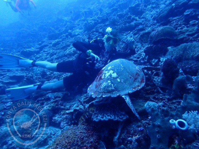 02-13 Eylül BALİ