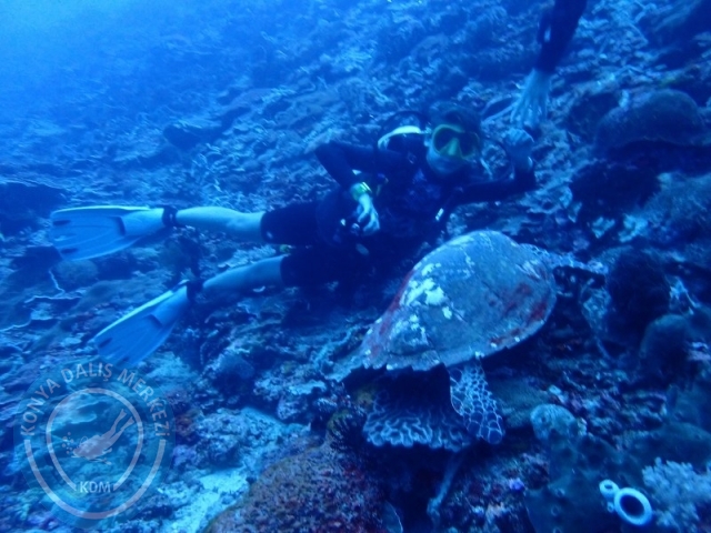 02-13 Eylül BALİ