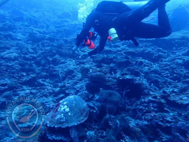 02-13 Eylül BALİ