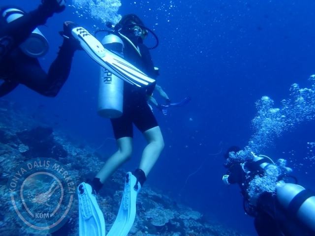 02-13 Eylül BALİ