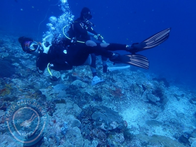02-13 Eylül BALİ