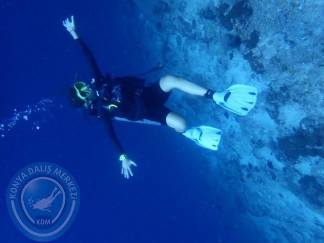 02-13 Eylül BALİ