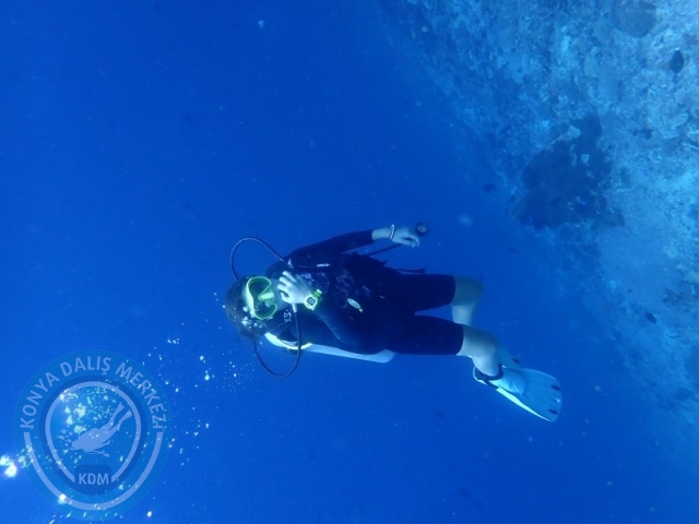 02-13 Eylül BALİ
