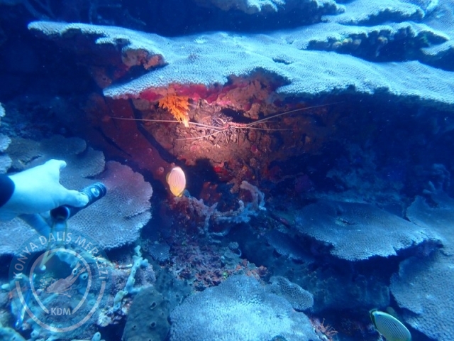02-13 Eylül BALİ