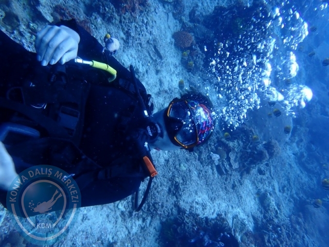 02-13 Eylül BALİ