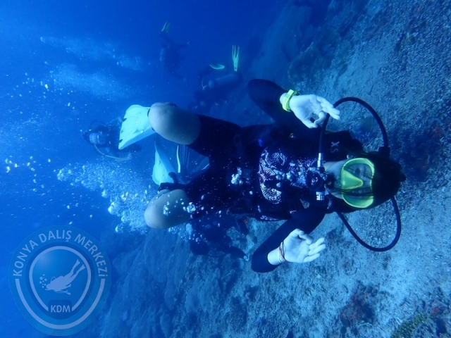 02-13 Eylül BALİ