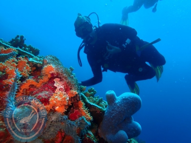 02-13 Eylül BALİ