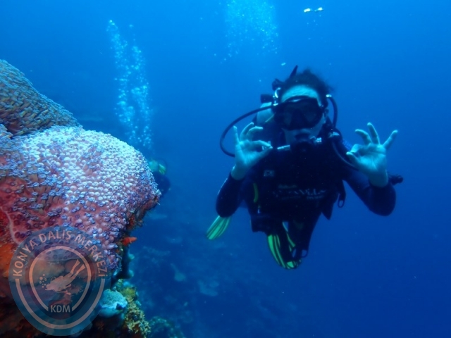 02-13 Eylül BALİ
