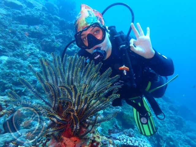 02-13 Eylül BALİ