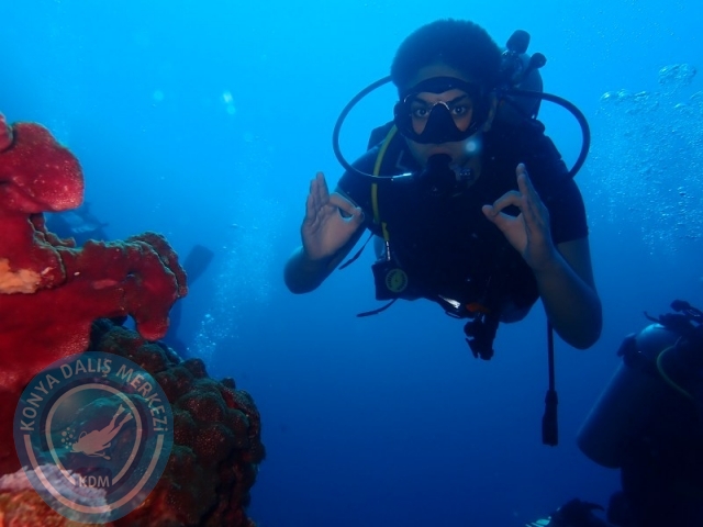 02-13 Eylül BALİ