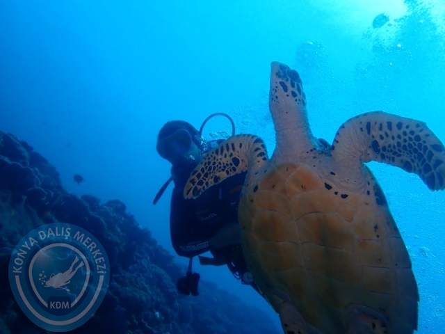 02-13 Eylül BALİ