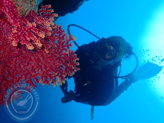 02-13 Eylül BALİ