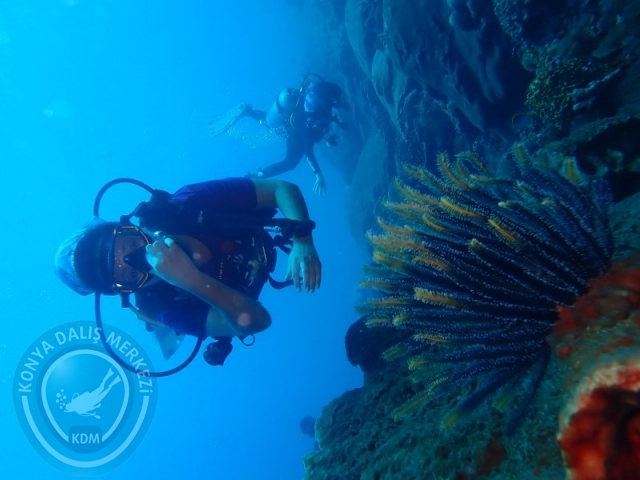 02-13 Eylül BALİ