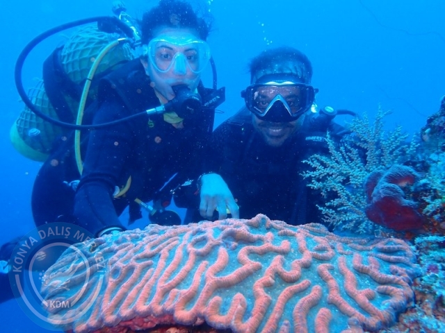 02-13 Eylül BALİ