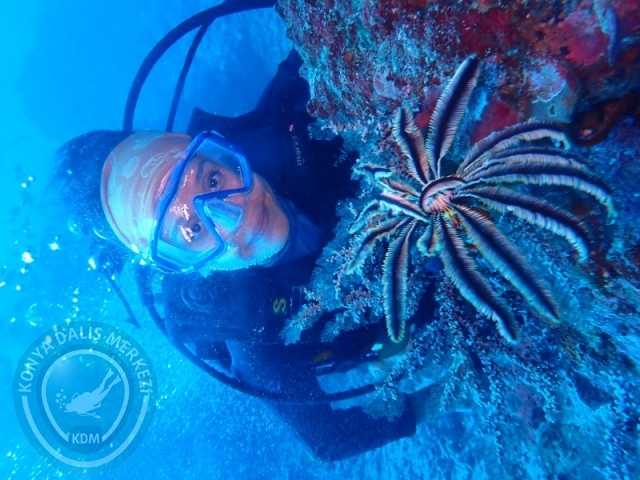 02-13 Eylül BALİ