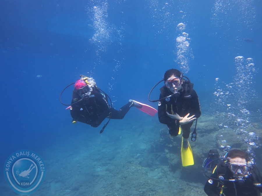 03 - 04 Ekim Bodrum