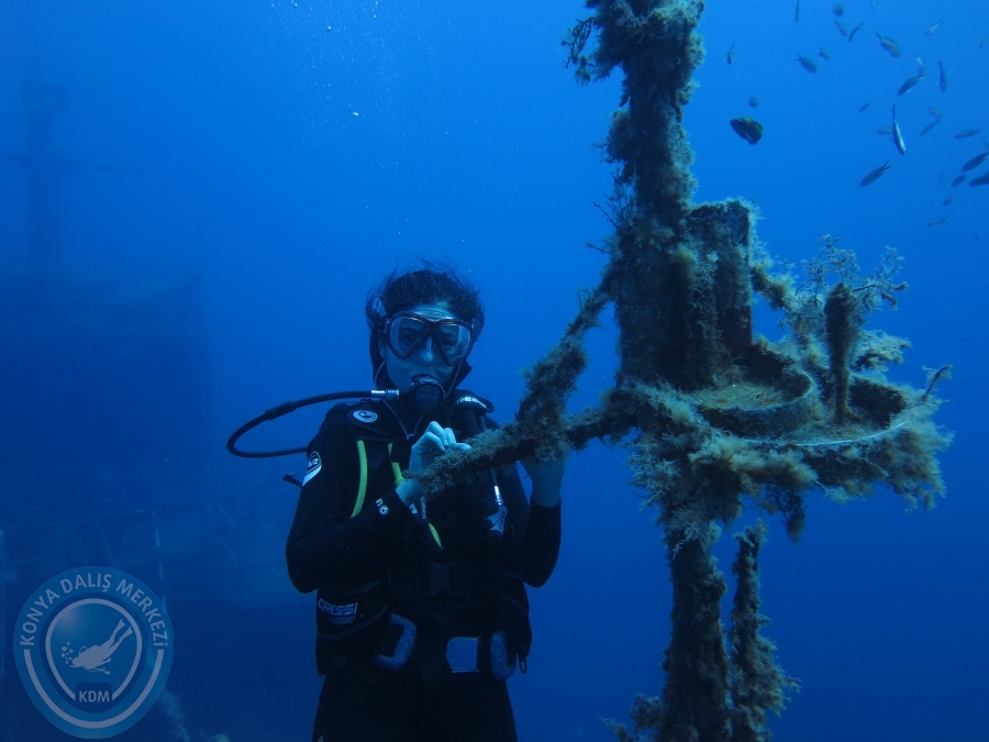 03 - 04 Ekim Bodrum