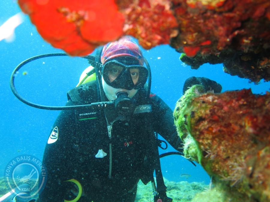 03 - 04 Ekim Bodrum