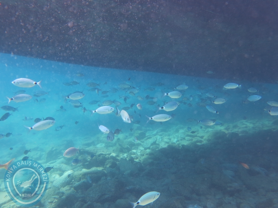 03 - 04 Ekim Bodrum