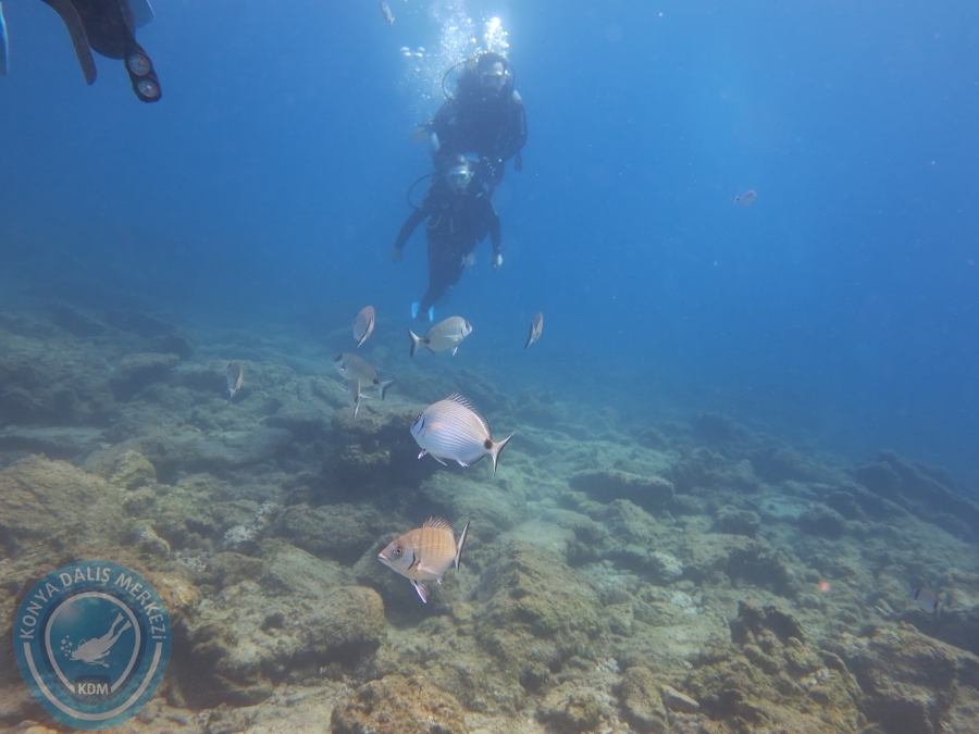 03 - 04 Ekim Bodrum