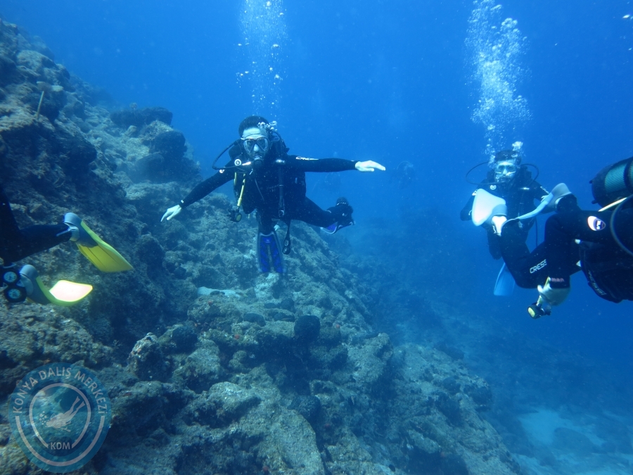 03 - 04 Ekim Bodrum