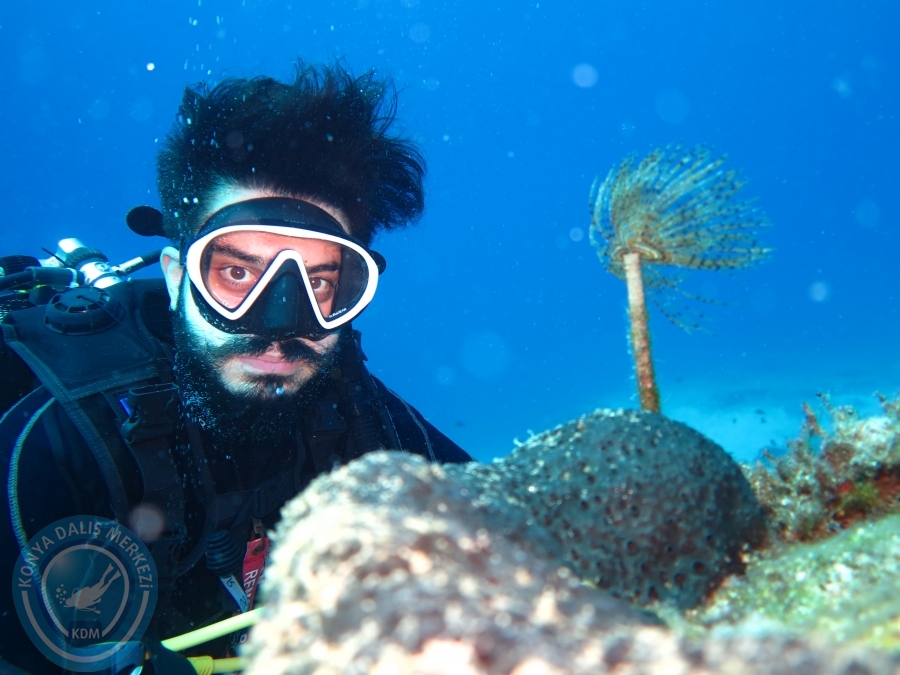 03 - 04 Ekim Bodrum