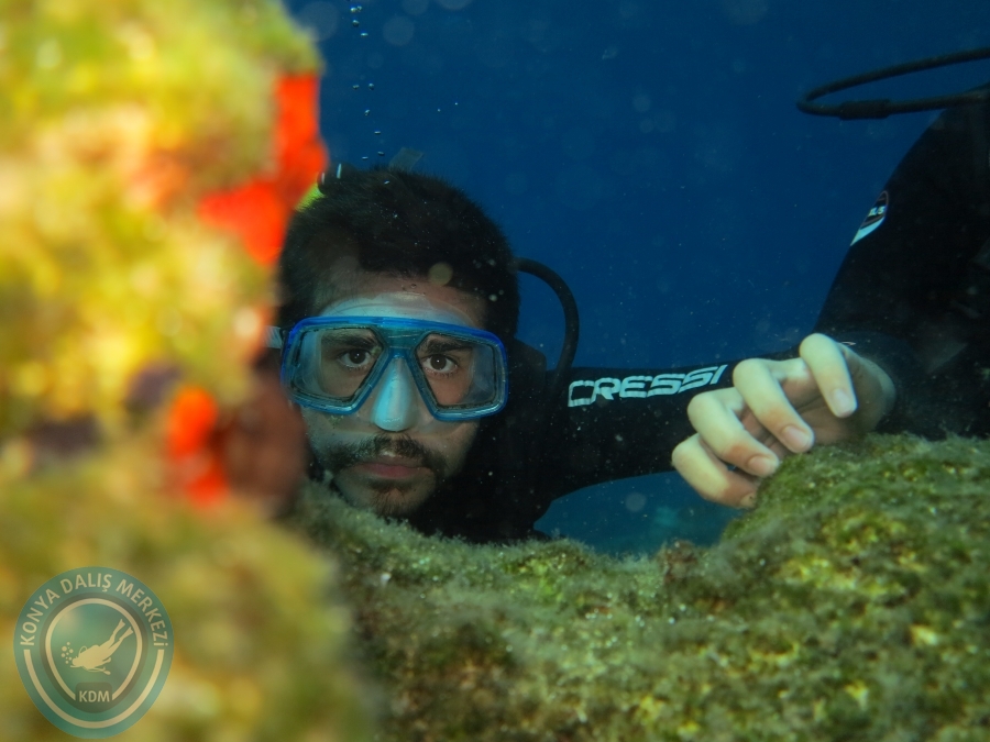 03 - 04 Ekim Bodrum