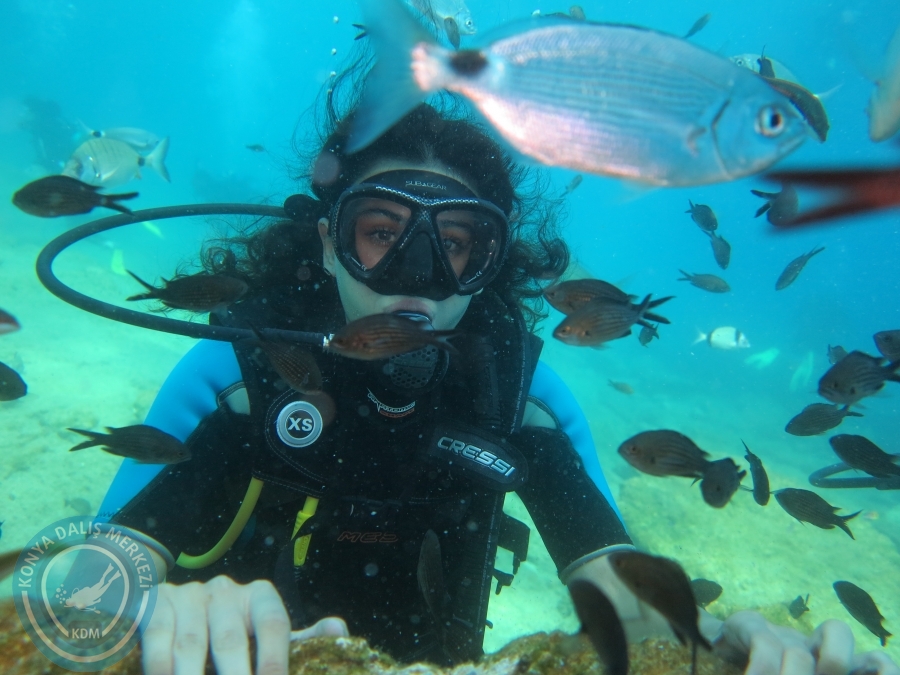 03 - 04 Ekim Bodrum