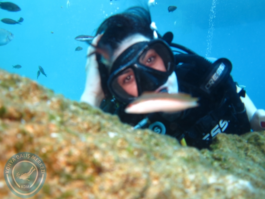 03 - 04 Ekim Bodrum