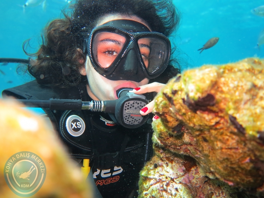 03 - 04 Ekim Bodrum