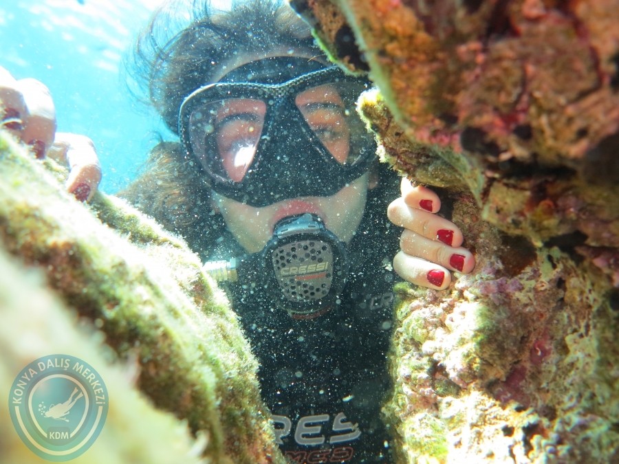 03 - 04 Ekim Bodrum