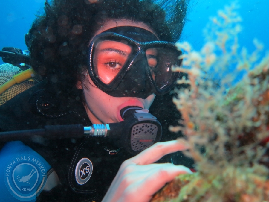 03 - 04 Ekim Bodrum