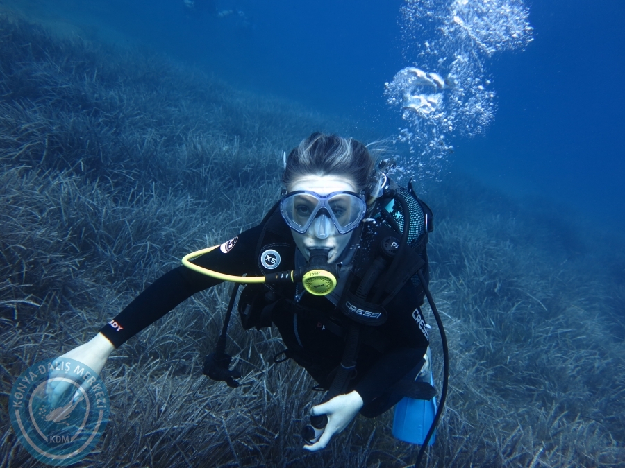 03 - 04 Ekim Bodrum
