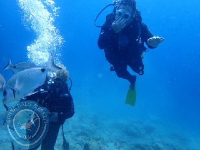 03-04 Ekim Bodrum