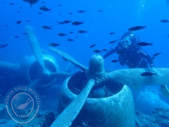 03-04 Ekim Bodrum