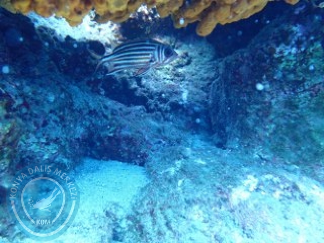 03-04 Ekim Bodrum
