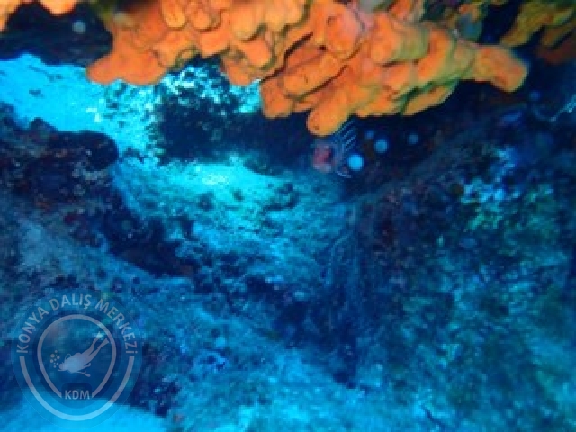 03-04 Ekim Bodrum