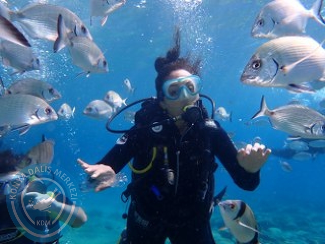 03-04 Ekim Bodrum