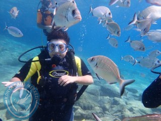 03-04 Ekim Bodrum