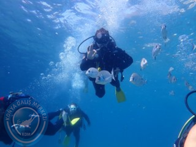 03-04 Ekim Bodrum
