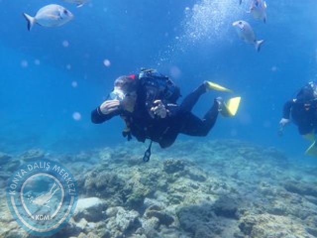 03-04 Ekim Bodrum