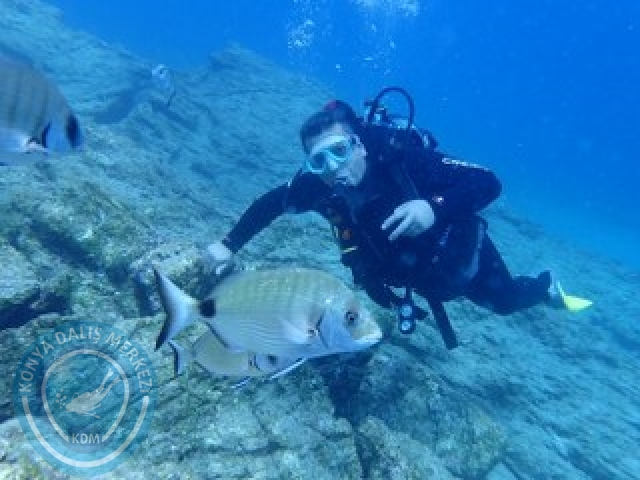 03-04 Ekim Bodrum