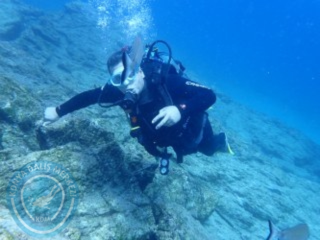 03-04 Ekim Bodrum