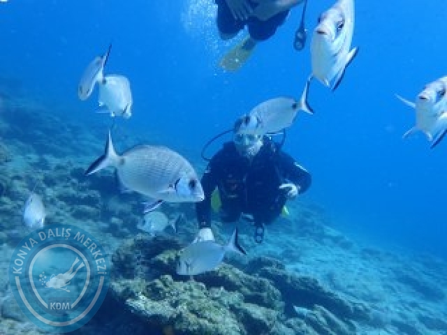 03-04 Ekim Bodrum