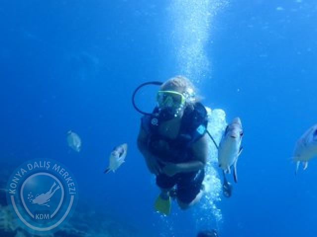 03-04 Ekim Bodrum
