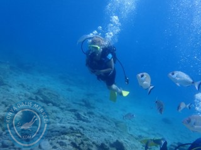 03-04 Ekim Bodrum
