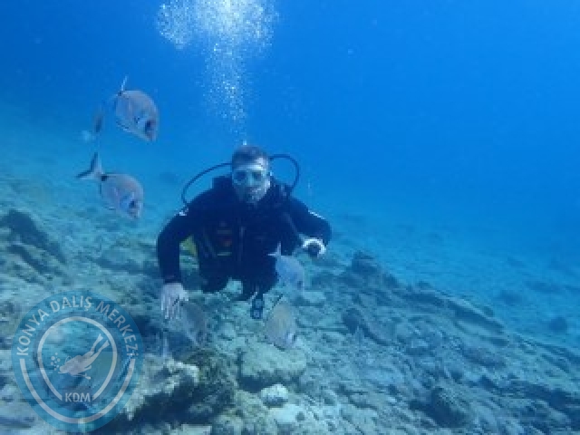 03-04 Ekim Bodrum