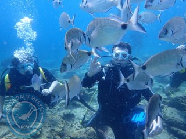 03-04 Ekim Bodrum