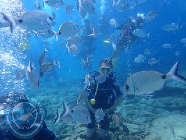 03-04 Ekim Bodrum