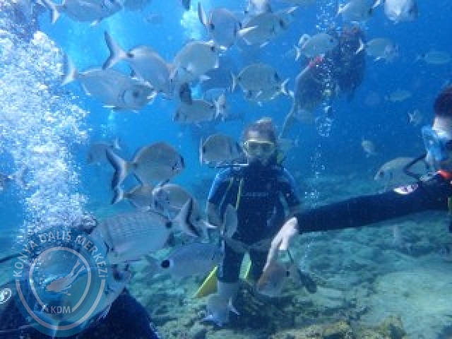 03-04 Ekim Bodrum